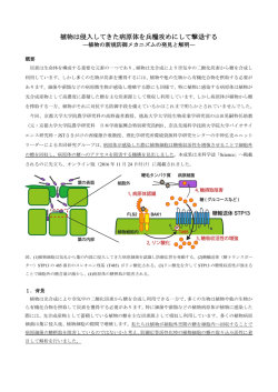 植物は侵入してきた病原体を兵糧攻めにして撃退する