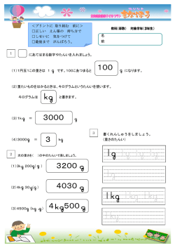 3200 4030 4 500 100 3000 3