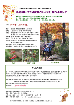高尾山のブナの黄葉とモミジ紅葉ハイキング（PDF：592KB）