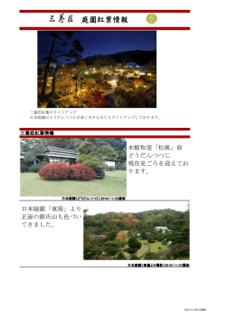 紅葉のご案内