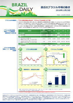 BRAZIL DAILY 11/24号