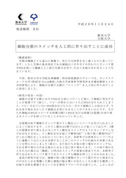 プレスリリース本文