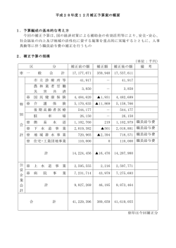 平成28年度12月補正予算の概要（PDF：238KB）
