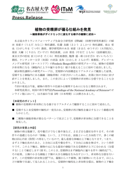 植物の受精卵が偏る仕組みを発見