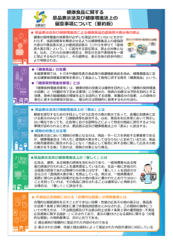 要約版 - 消費者庁