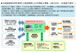 北海道産原材料を使  した商品開発による市場拡  事業（(株)もりもと
