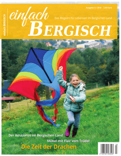 Die Zeit der Drachen