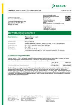 Gutachten DEKRA - Zoll
