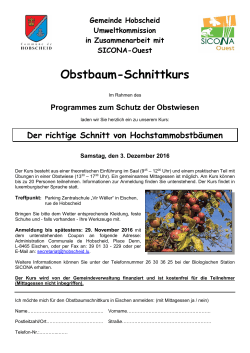 03. Dezember 2016: Obstbaum-Schnittkurs in Hobscheid