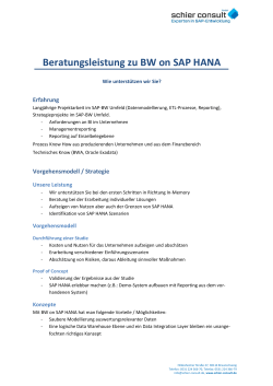 Beratungsleistung zu BW on SAP HANA