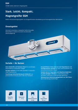 EGM - Schunk