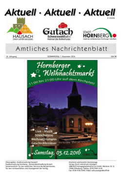 New file - Hausach
