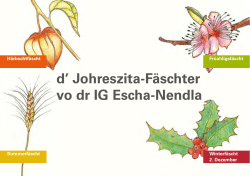 d` Johreszita-Fäschter vo dr IG Escha-Nendla