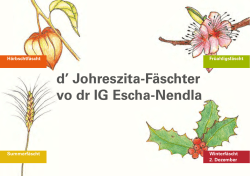 d` Johreszita-F&auml;schter vo dr IG Escha-Nendla
