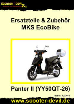 MKS EcoBike Panter II (YY50QT-26)