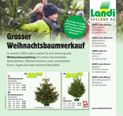 Grosser Weihnachtsbaumverkauf