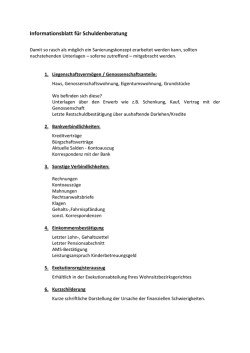Informationsblatt f&uuml;r Schuldnerberatung