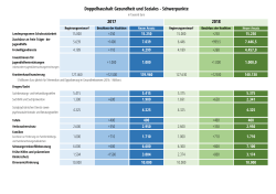 Doppelhaushalt Gesundheit und Soziales