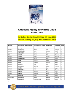Amadeus Agility Worldcup 2016