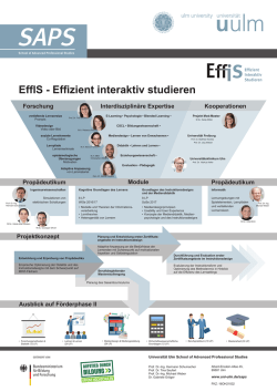 EffIS - Effizient interaktiv studieren