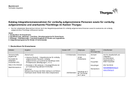 Katalog Integrationsmassnahmen für vorläufig aufgenommene