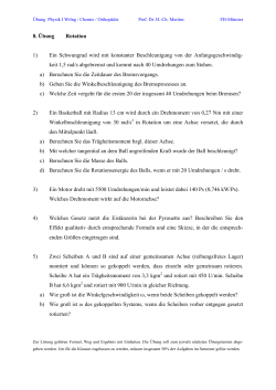 Übungsblatt Nr. 8 (pdf-Datei / 56,68 KB)