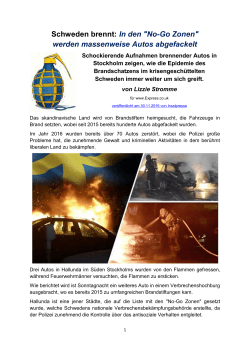 Schweden brennt: In den "No-Go Zonen" werden