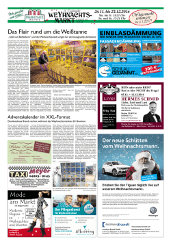 einblasdämmung