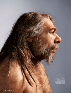Wie viel Neandertaler steckt in uns?