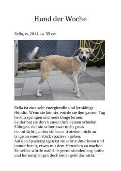 Hund der Woche - Tiervermittlungen