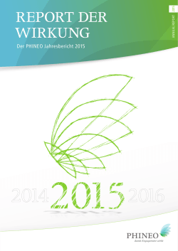 PHINEO Jahresbericht 2015 PDF