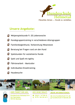 Unsere Angebote: - hundeschule-h-h.de