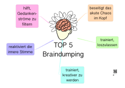 TOP 5 Braindumping