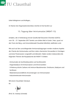 13. Tagung über Iminiumsalze (IMSAT-13)