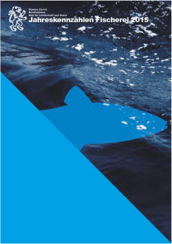 Jahreskennzahlen 2015