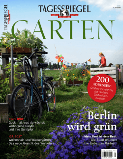Berlin wird grün - Anzeigenpreise | Tagesspiegel