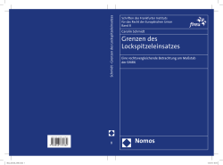 Grenzen des Lockspitzeleinsatzes