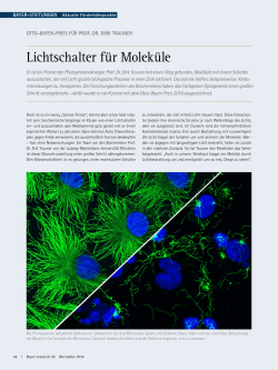 Lichtschalter für Moleküle - research - Das Bayer
