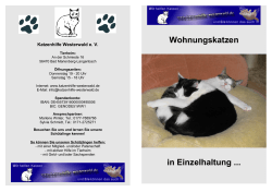 - Katzenhilfe Westerwald
