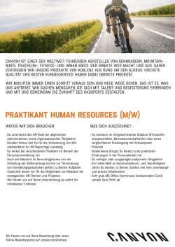 praktikant human resources (m/w)