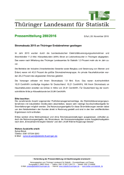Stromabsatz 2015 an Thüringer Endabnehmer gestiegen