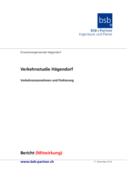 Verkehrsstudie Hägendorf / Bericht