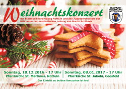 Plakat Weihnachtskonzert 2016-2017 Kombi