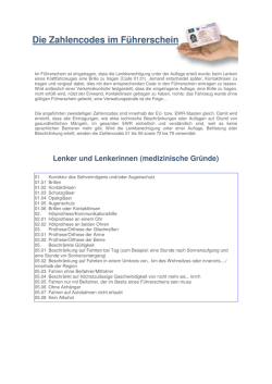 Die Zahlencodes im Fuehrerschein