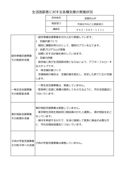 実施状況（武蔵村山市）(PDF:221KB)