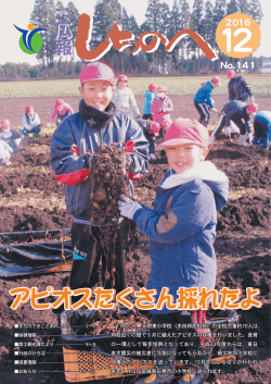 アピオスたくさん採れたよ
