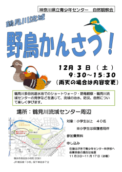 自然観察会 野鳥観察 - 神奈川県立青少年センター科学部