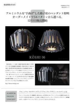 プレスリリスースPDF
