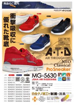 主な先芯入り安全靴製品のパンフレットを見る【PDF形式】