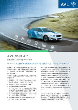 AVL VSM 4 - エイヴィエルジャパン